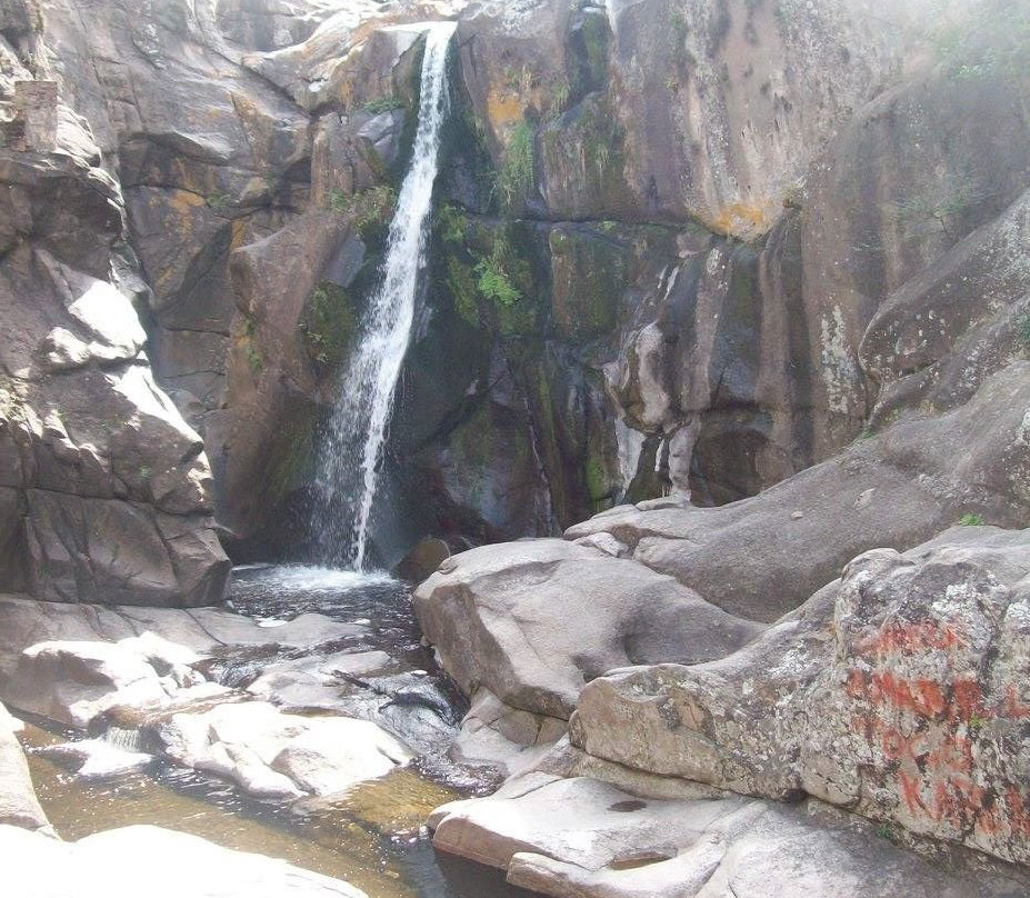 Cueva de Los Pajaritos景点图片
