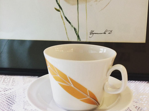 Shop Imperatorskiy Farfor-雅罗斯拉夫必去景点