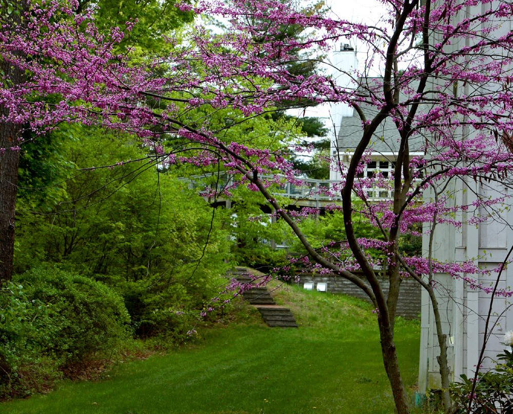 The Warren Conference Center and Inn主图