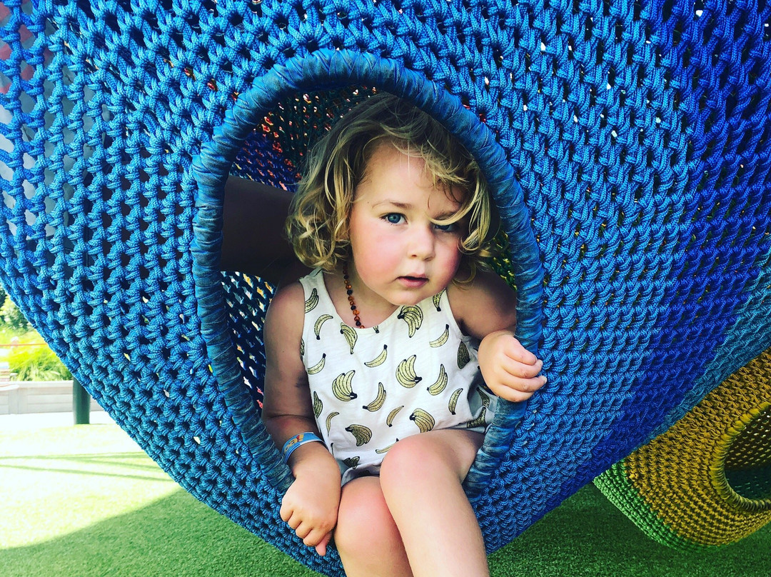 Whoa Studios-奥克兰中心地区必去景点