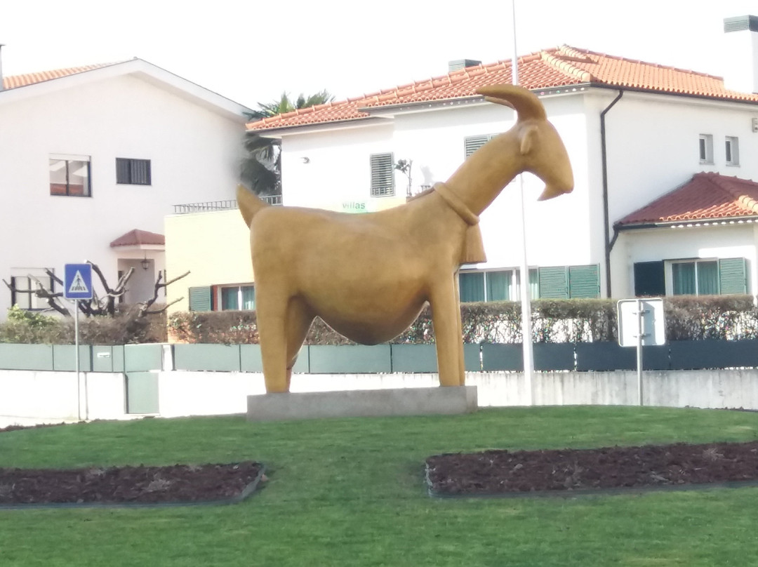 Monumento aos Alcaides de Faria景点图片