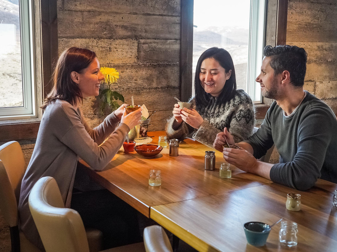 Arctic Adventures-凯夫拉维克必去景点