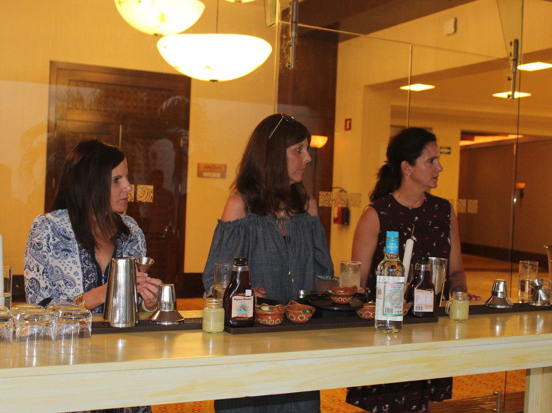 Taste & Travel-墨西哥城必去景点