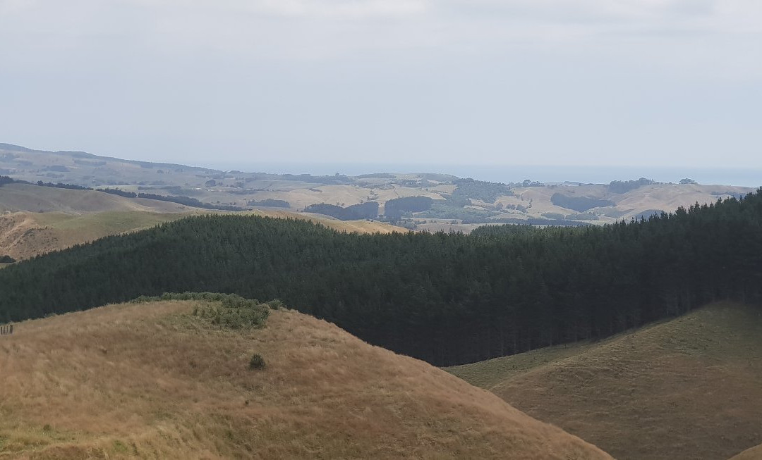 Pipiwharauroa Trail景点图片