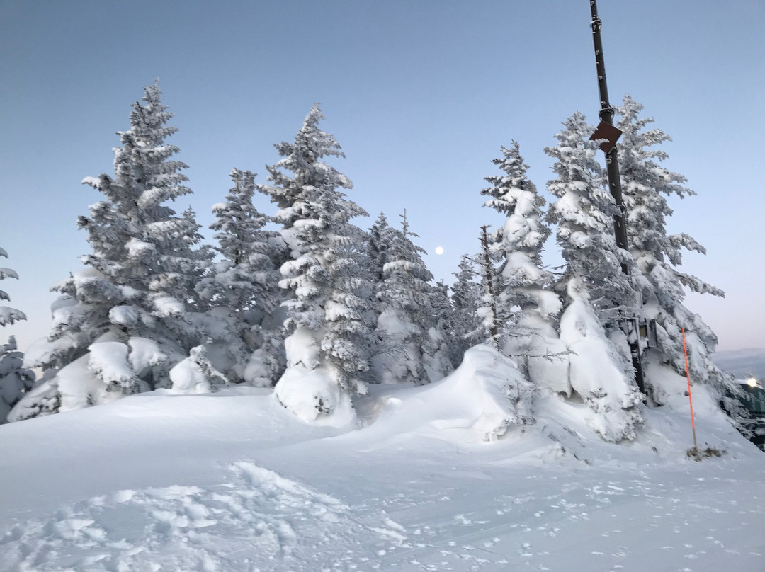 Shiga International Ski School-山之内町必去景点