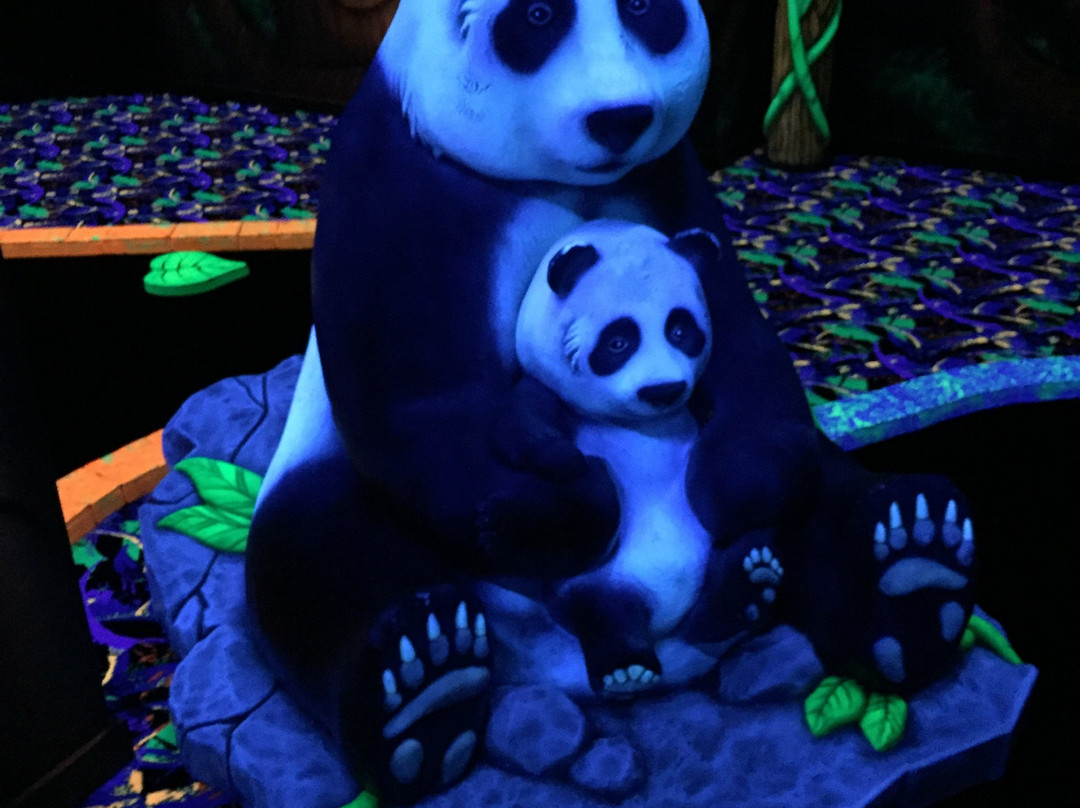 Laser Plus-舍布鲁克必去景点