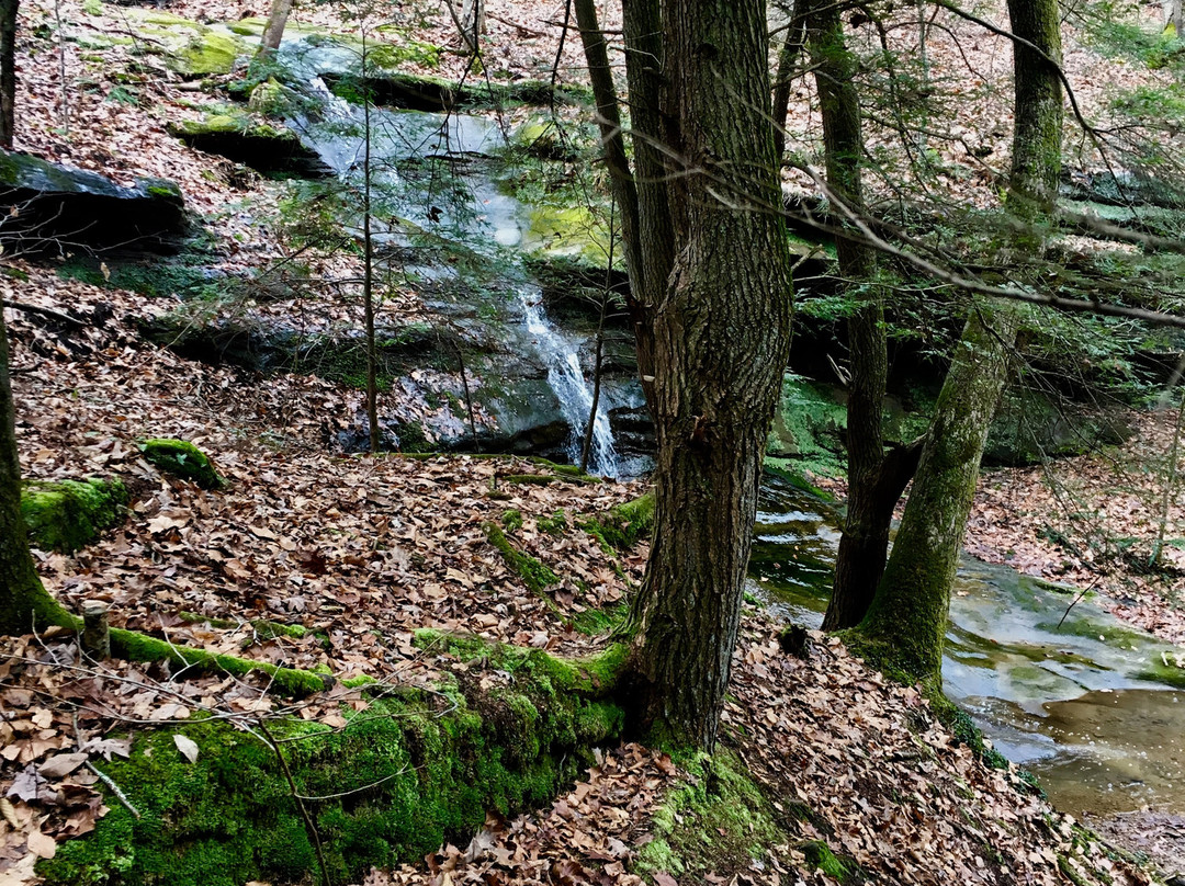 Boch Hollow State Nature Preserve-洛根必去景点