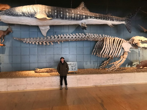 浙江自然博物馆-杭州市必去景点