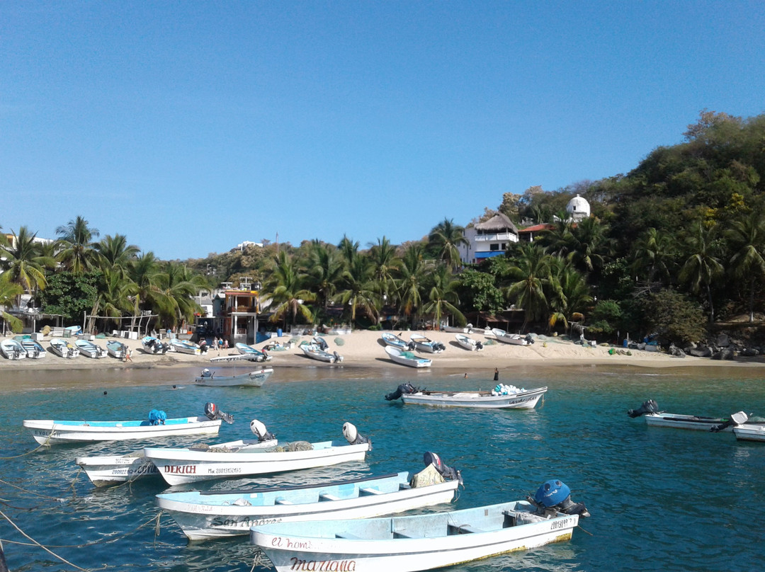 Playa del Muelle-Puerto Angel必去景点