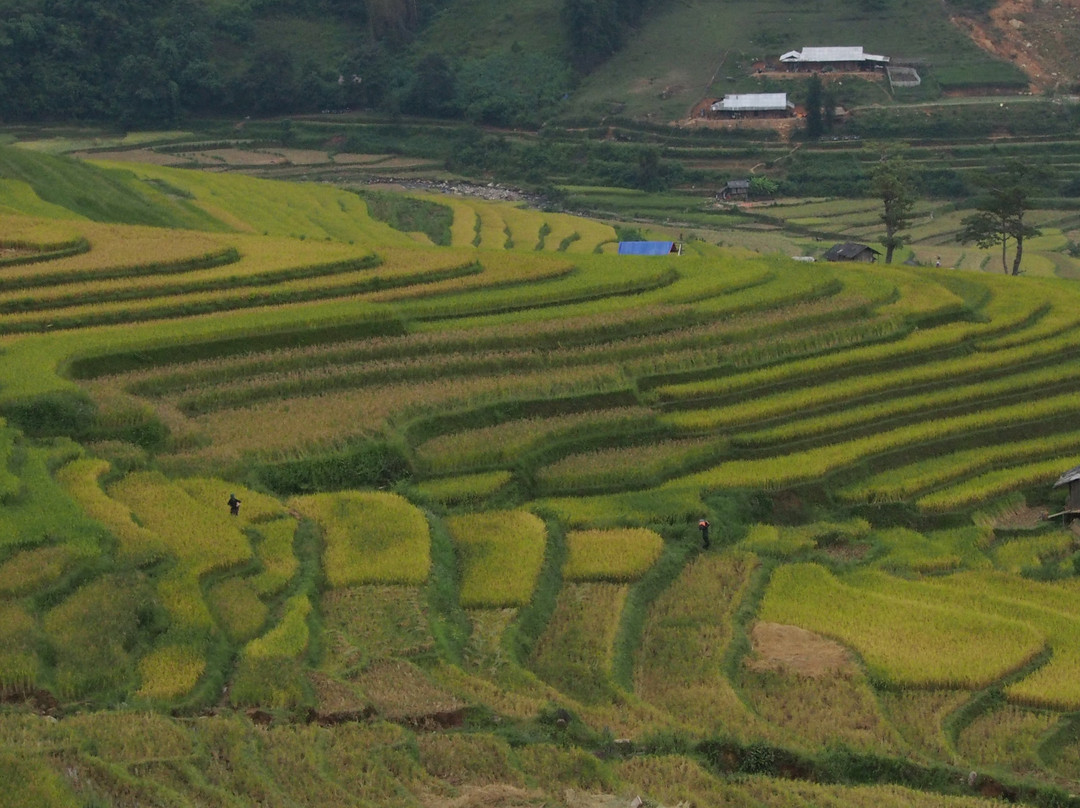 Lim Mong Village景点图片