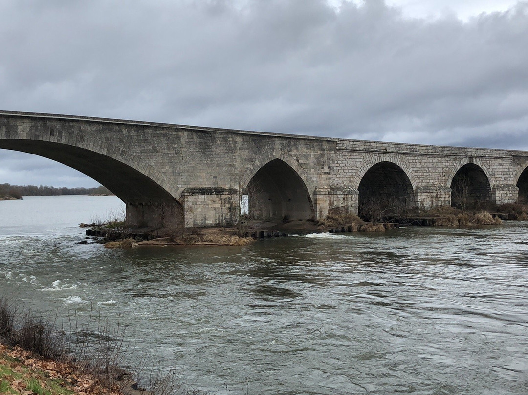 Pont de Beaugency景点图片