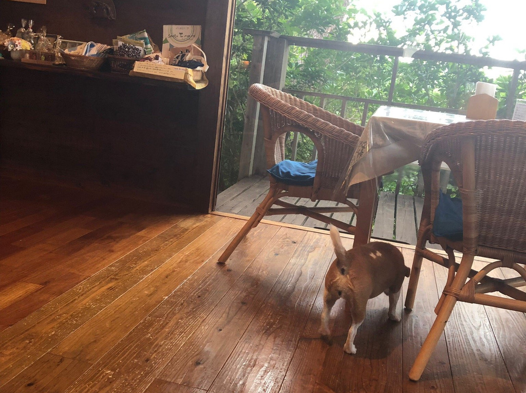 Nilaina Resort主图