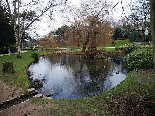 Alexandra Park景点图片