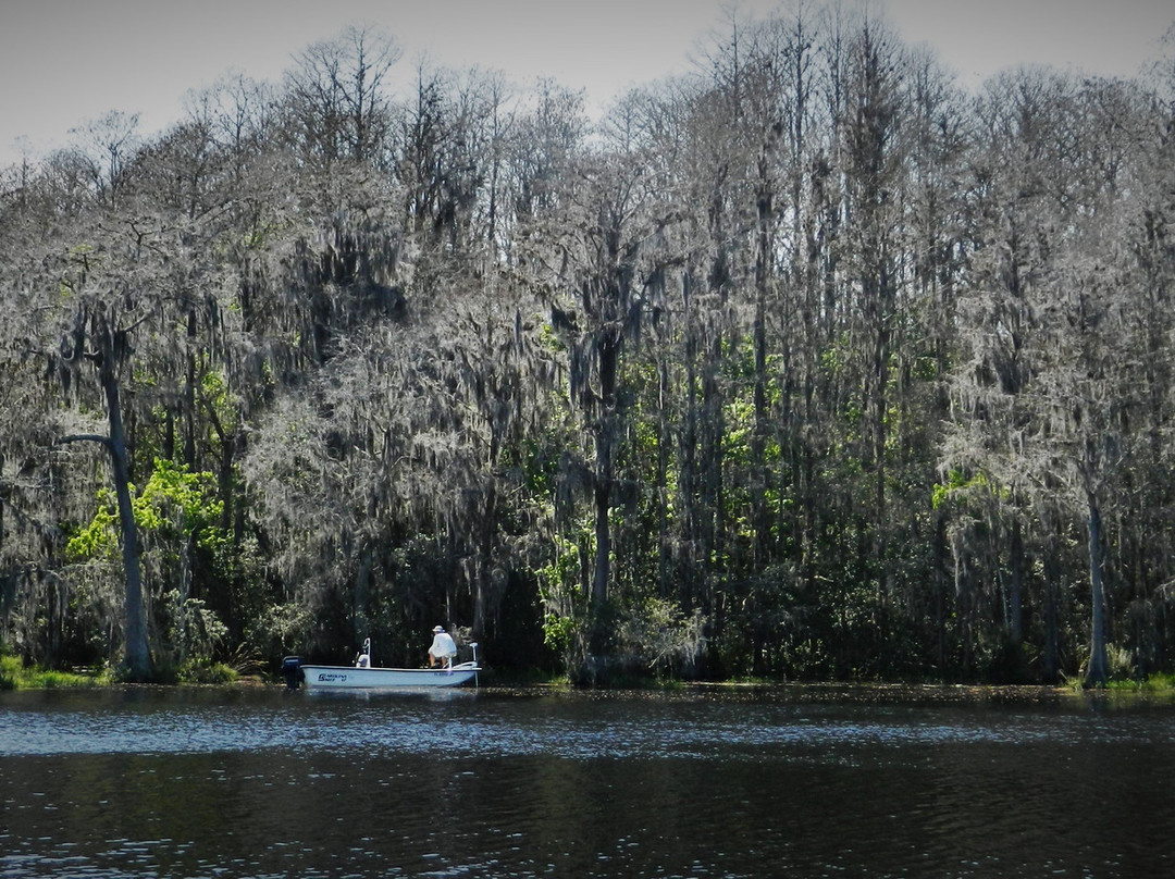 Lake Okeechobee Bass Fishing-奥基乔比必去景点