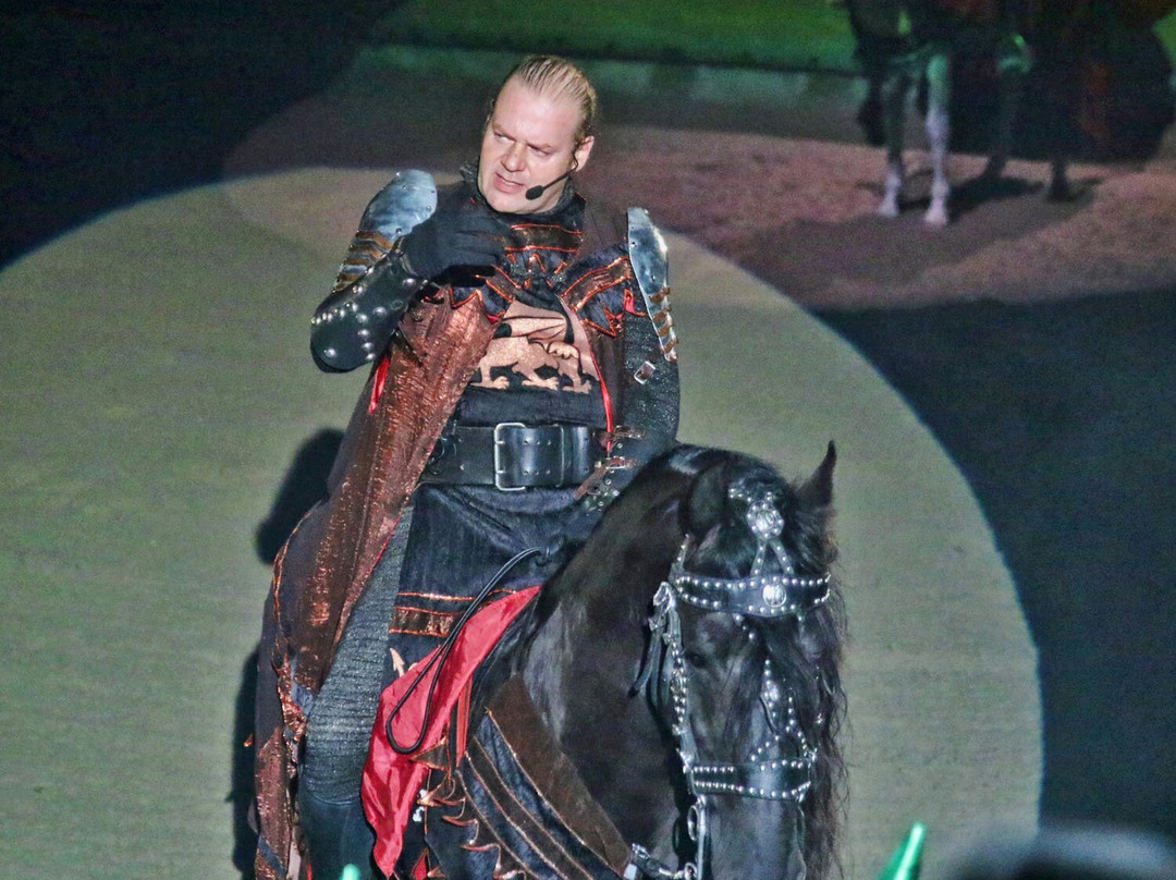 Medieval Times Dinner & Tournament景点图片