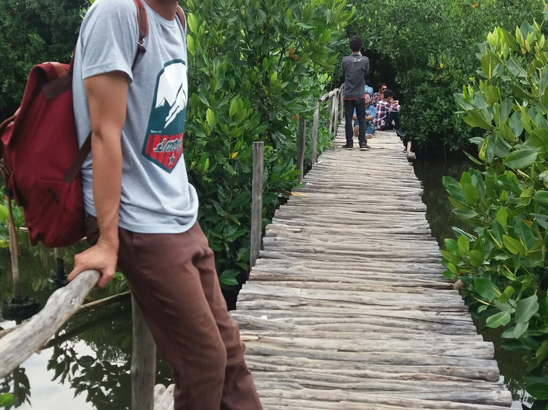 Mangrove Forest-雅加达必去景点