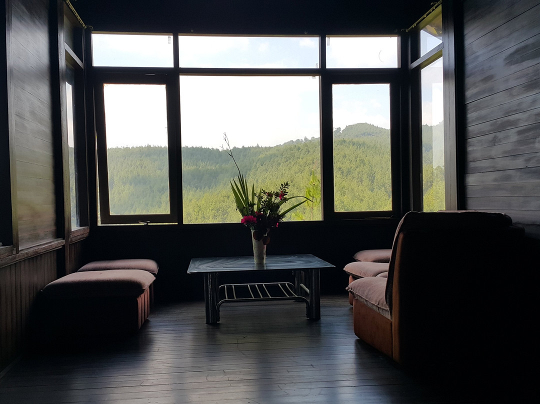 Glamping di Jungle, Ciwidey主图