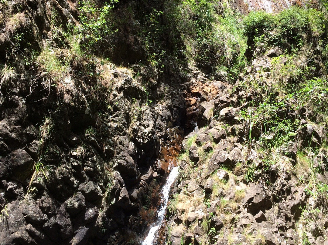 Pauanui Waterfall景点图片
