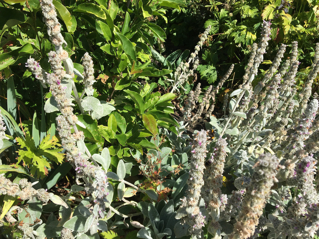 Amisfield Walled Garden-Haddington必去景点