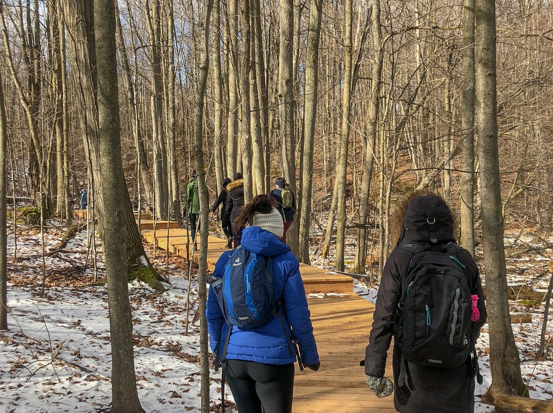 Silver Creek Conservation Area-Georgetown必去景点