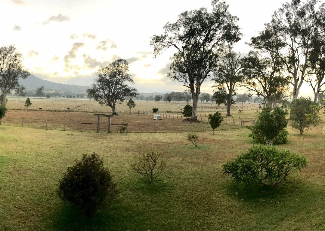 Feathers Home Stay主图