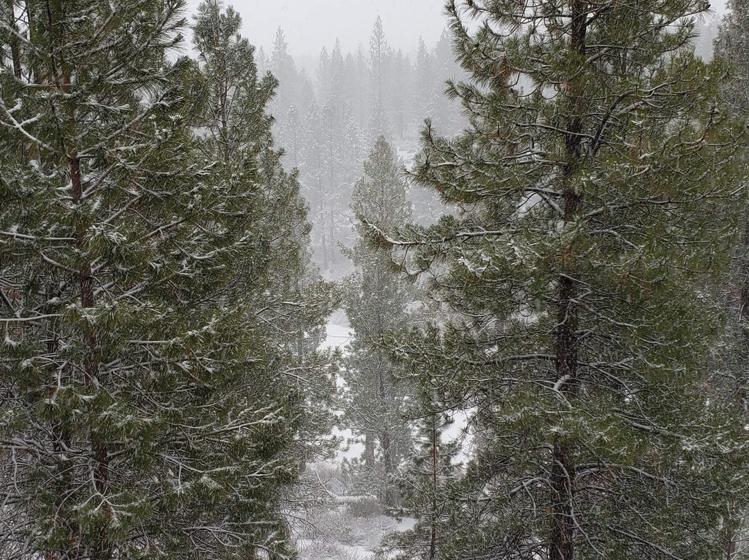 WorldMark Bend - Seventh Mountain Resort主图