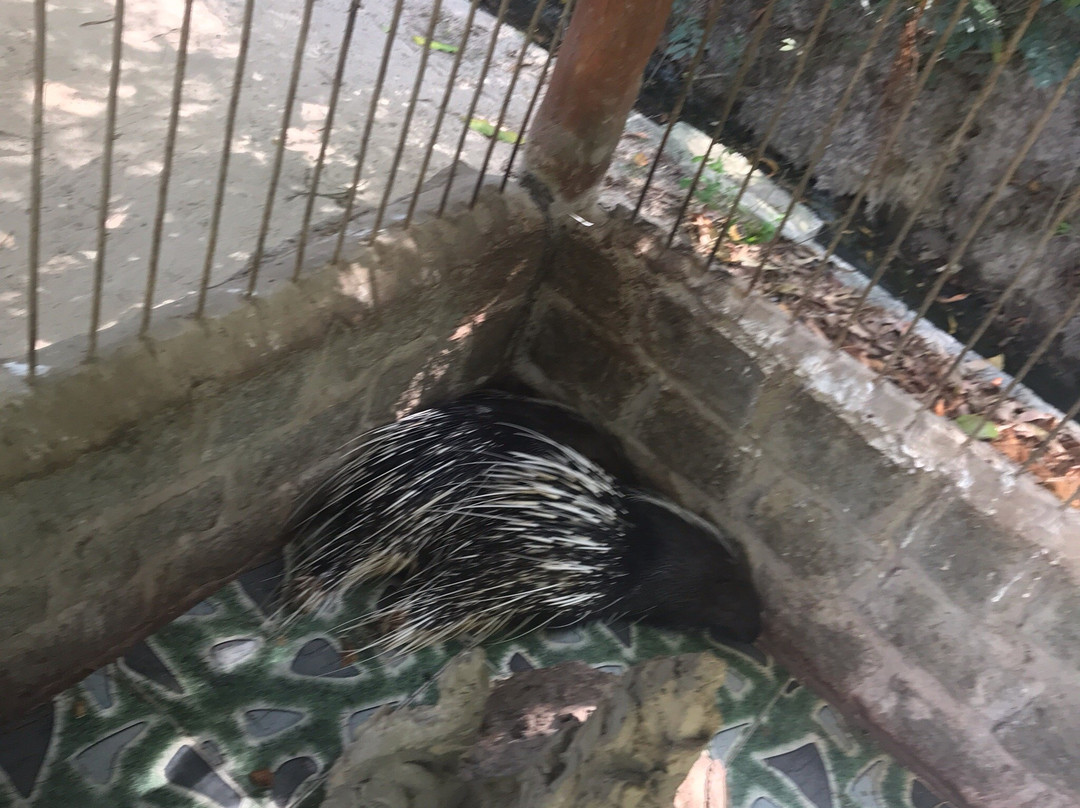 Vita Garden Mini-Zoo-藩切市必去景点