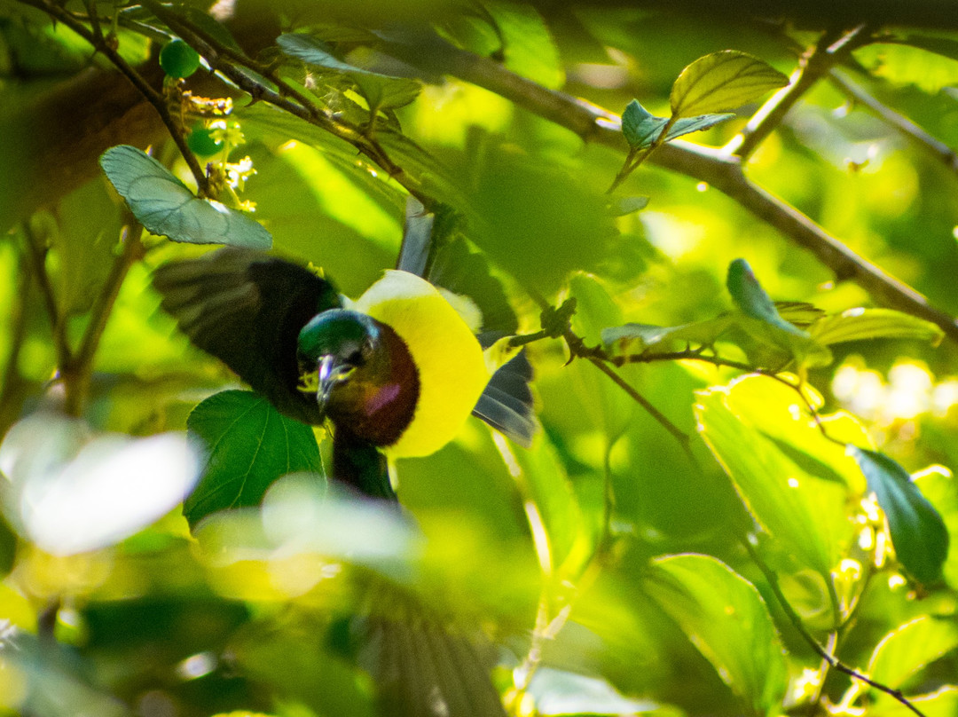 Secret Ivory Farm & Guest House主图