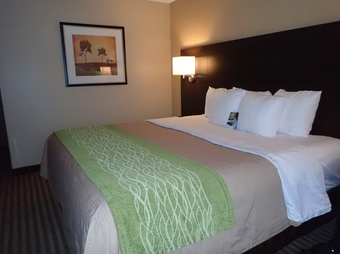 Comfort Inn Chatham主图