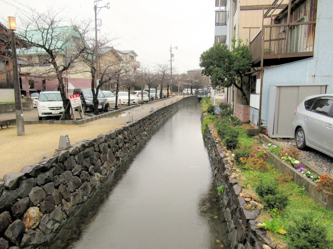 Teramachi Dori Shopping Street景点图片