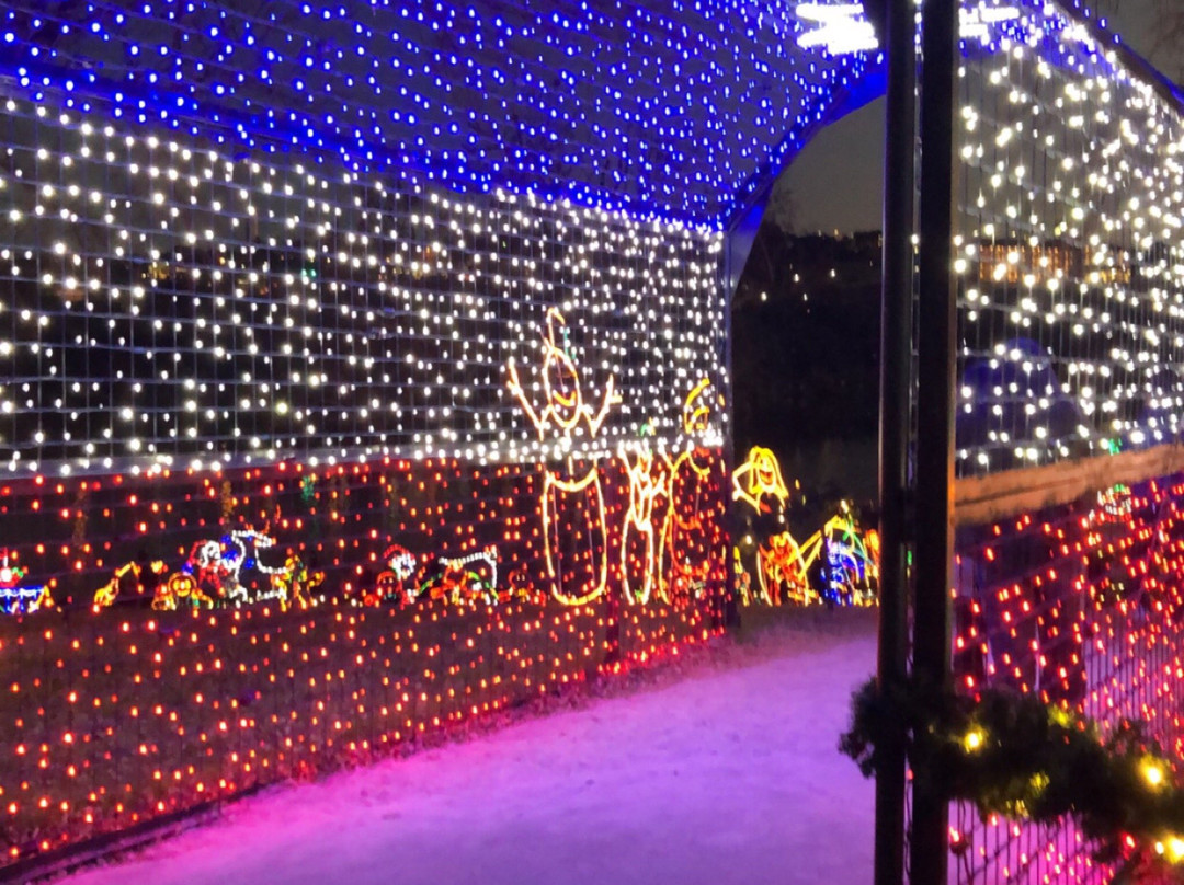 Lake Marble Falls-Marble Falls必去景点