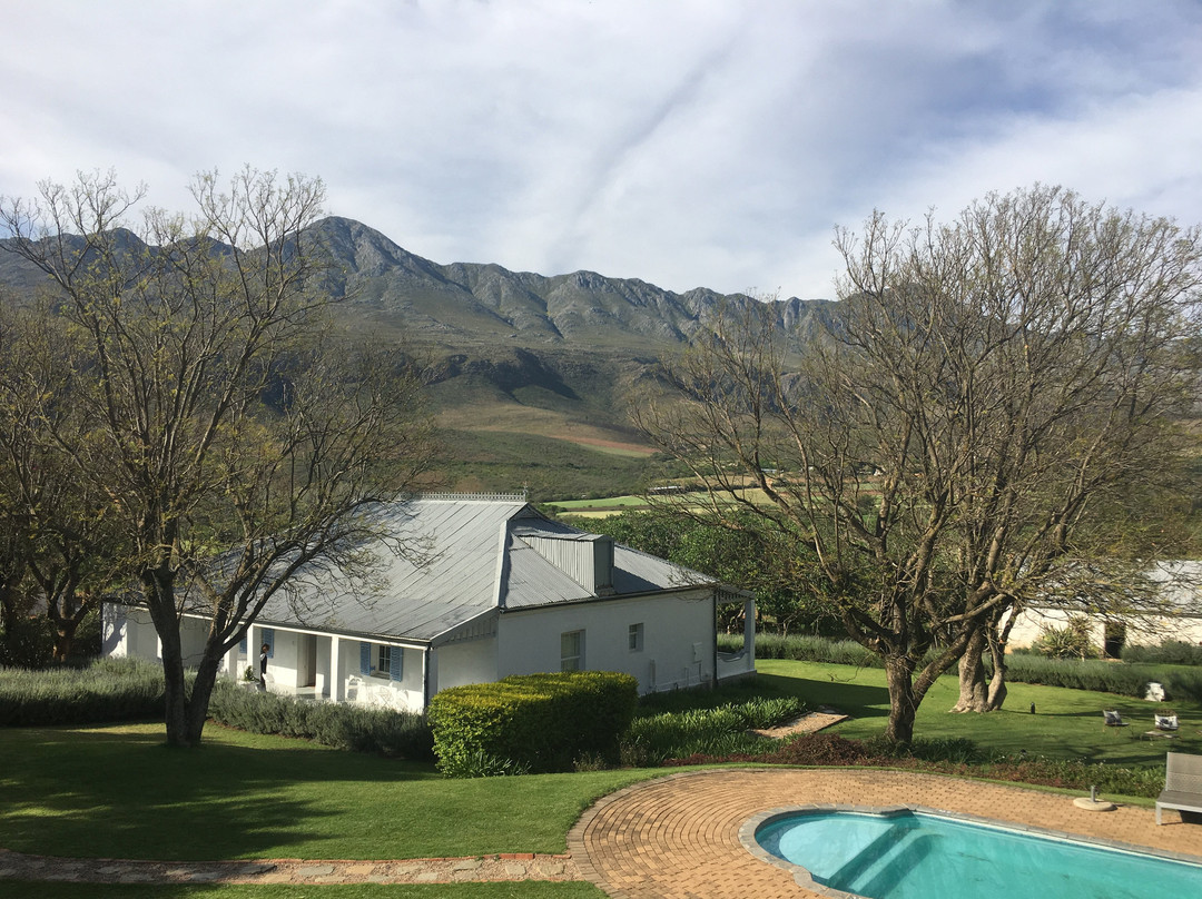 Swartberg Country Manor主图
