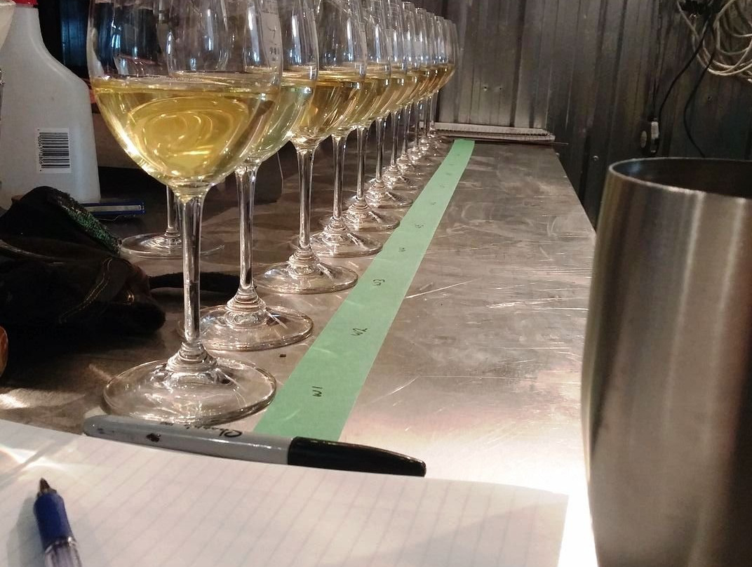 Lacey Estates Winery景点图片
