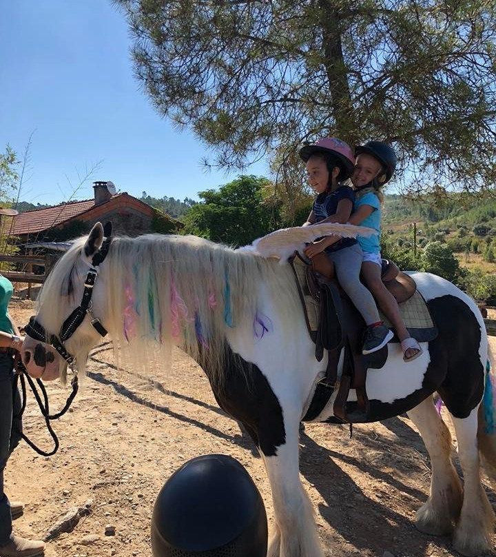 Horseback riding Portugal Adventures-Castelo Branco District必去景点
