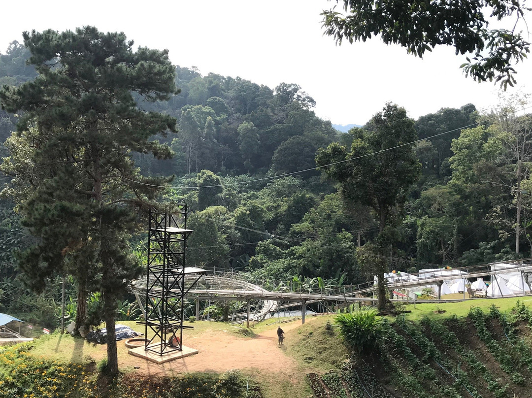 Pongyang Zipline and Jungle Coaster景点图片