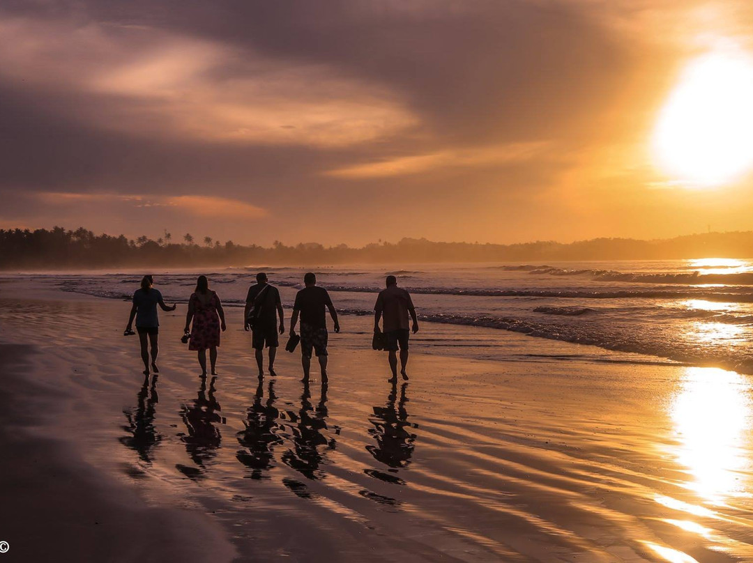 Weligama Surf Center景点图片