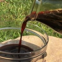 Silan Nevo-Hazeva必去景点