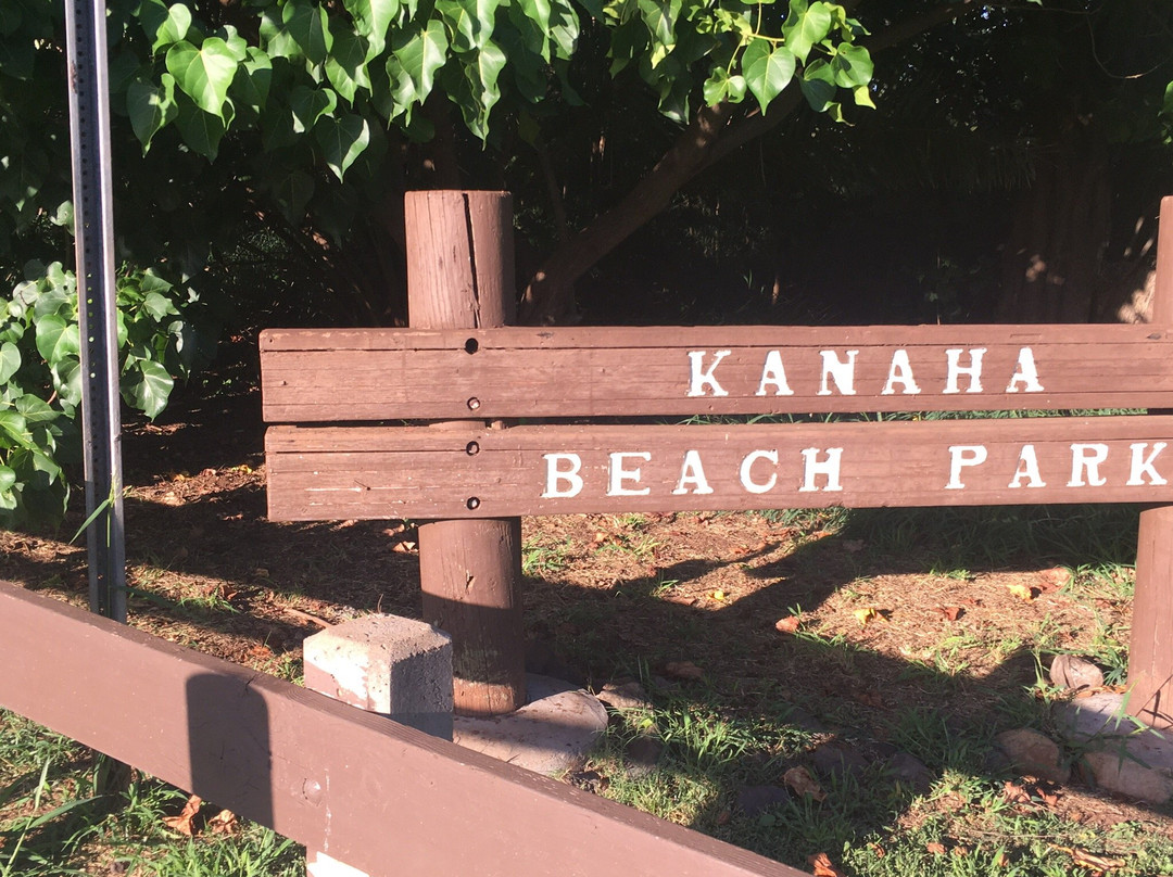 Kanaha Beach Park景点图片