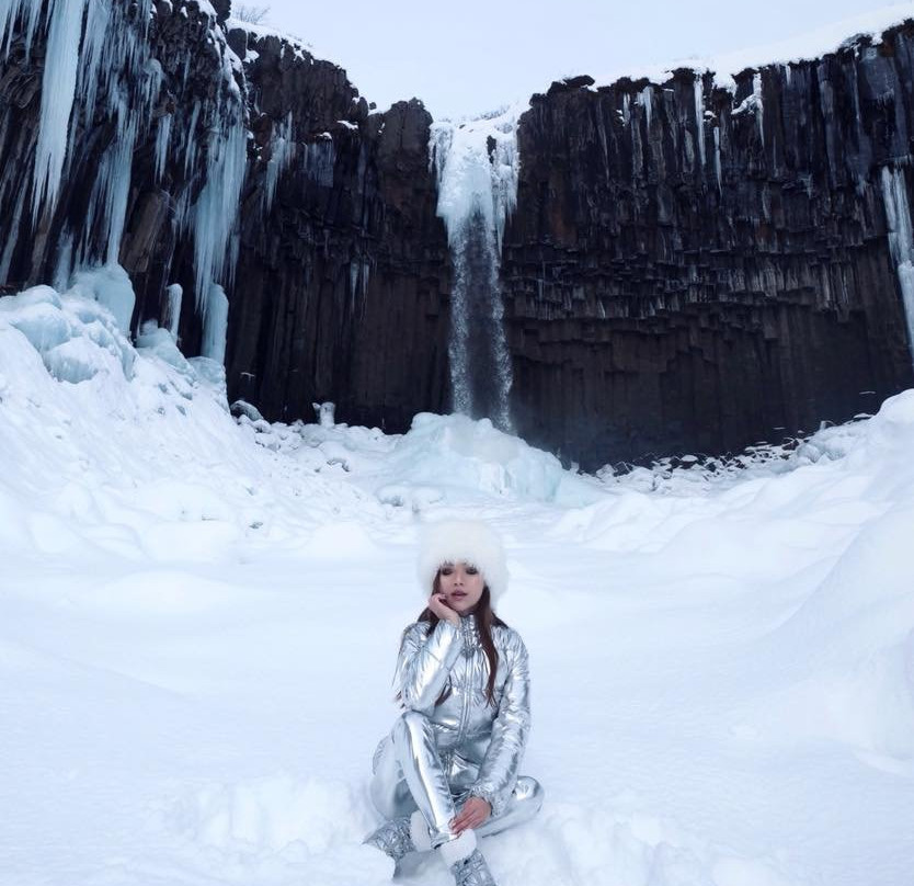 Svartifoss Waterfall景点图片