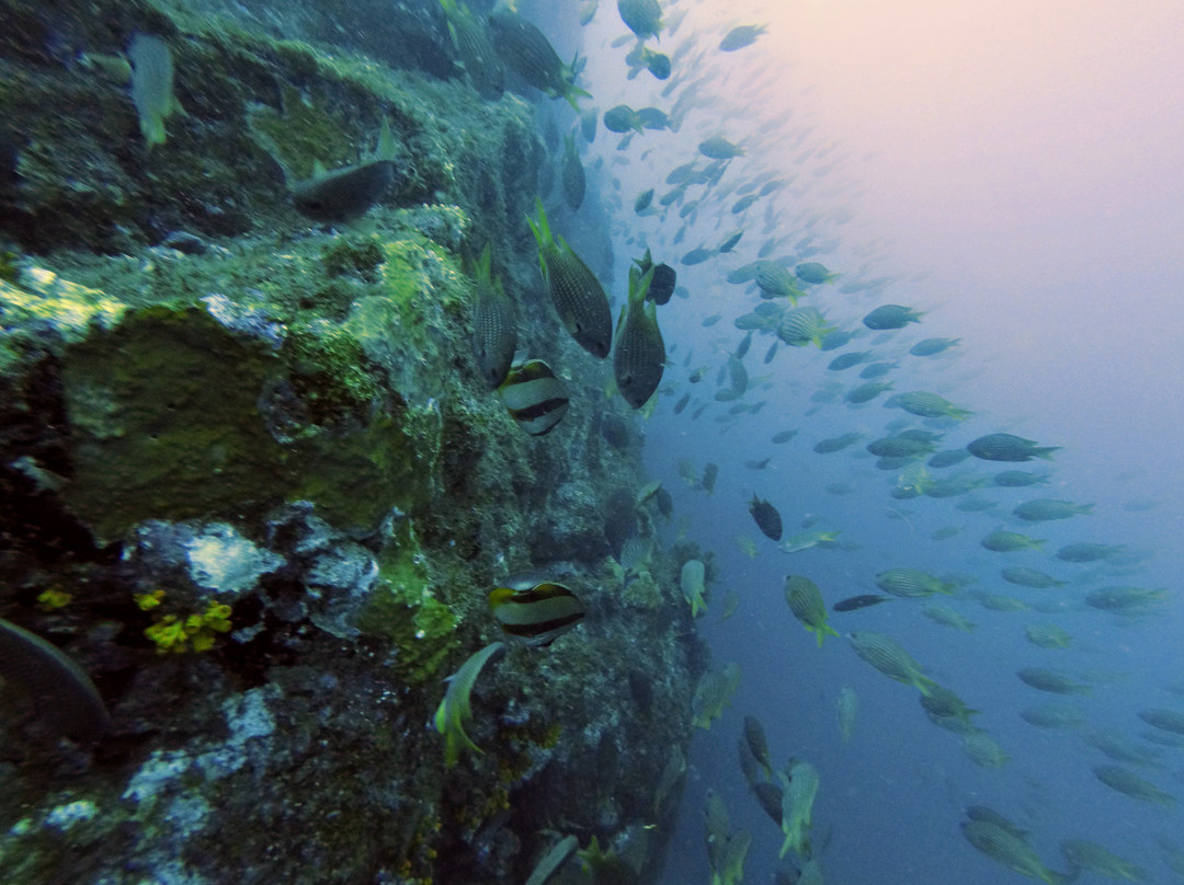 Santo Antao Scuba Diving景点图片
