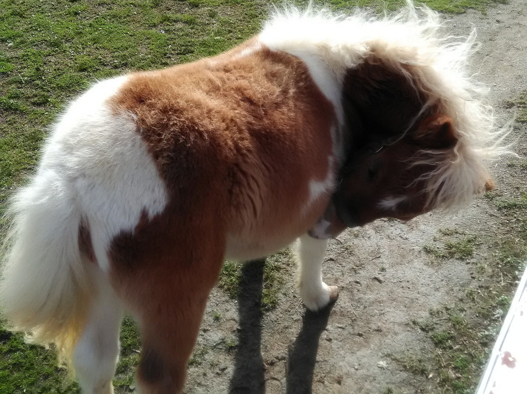 World Ranch-河南町必去景点