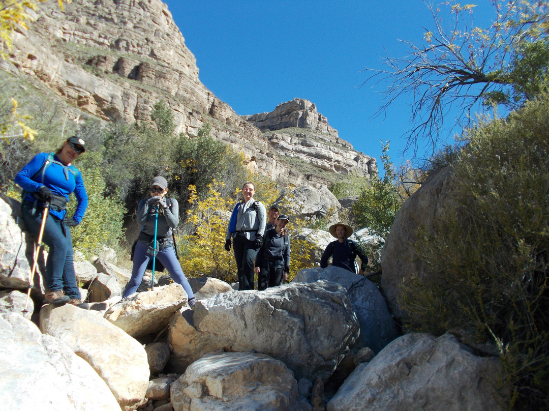 Dog Canyon Trail-阿拉莫戈多必去景点