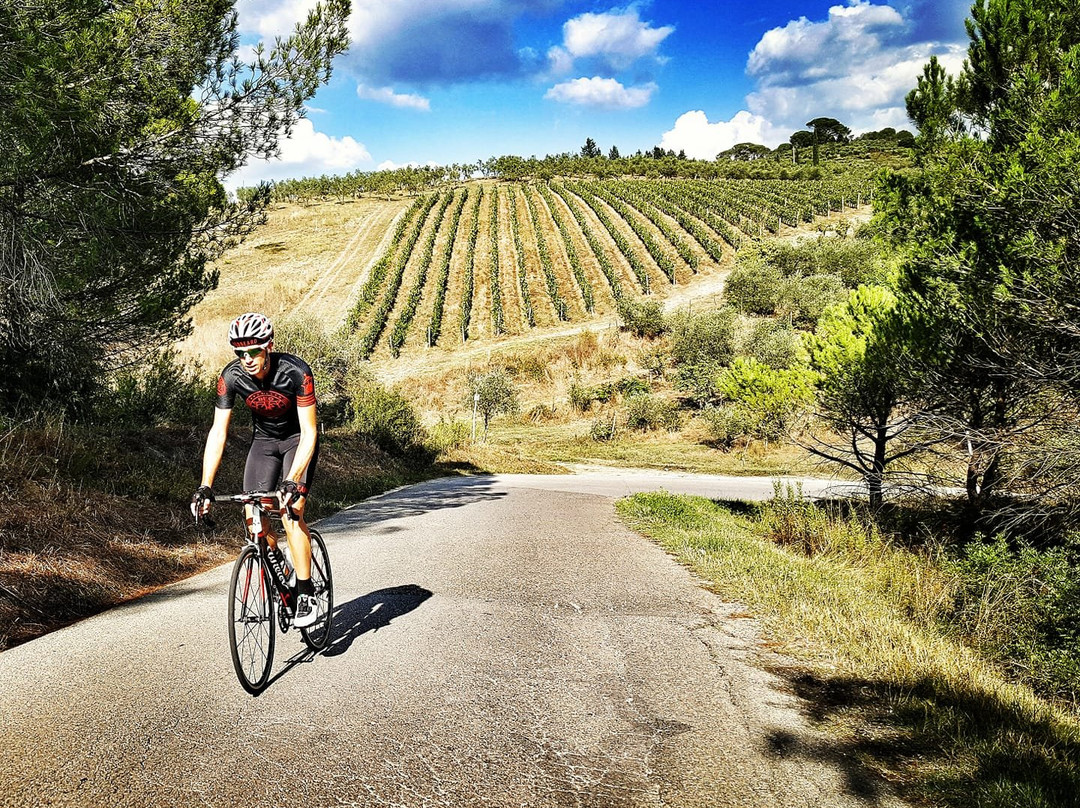 Vista Cycling Tours-佛罗伦萨必去景点