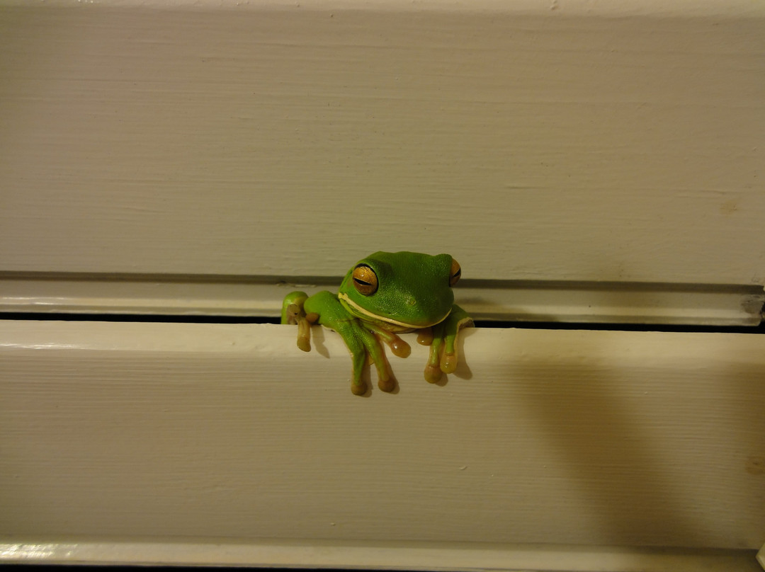 Galvin's Edge Hill Bed and Breakfast主图