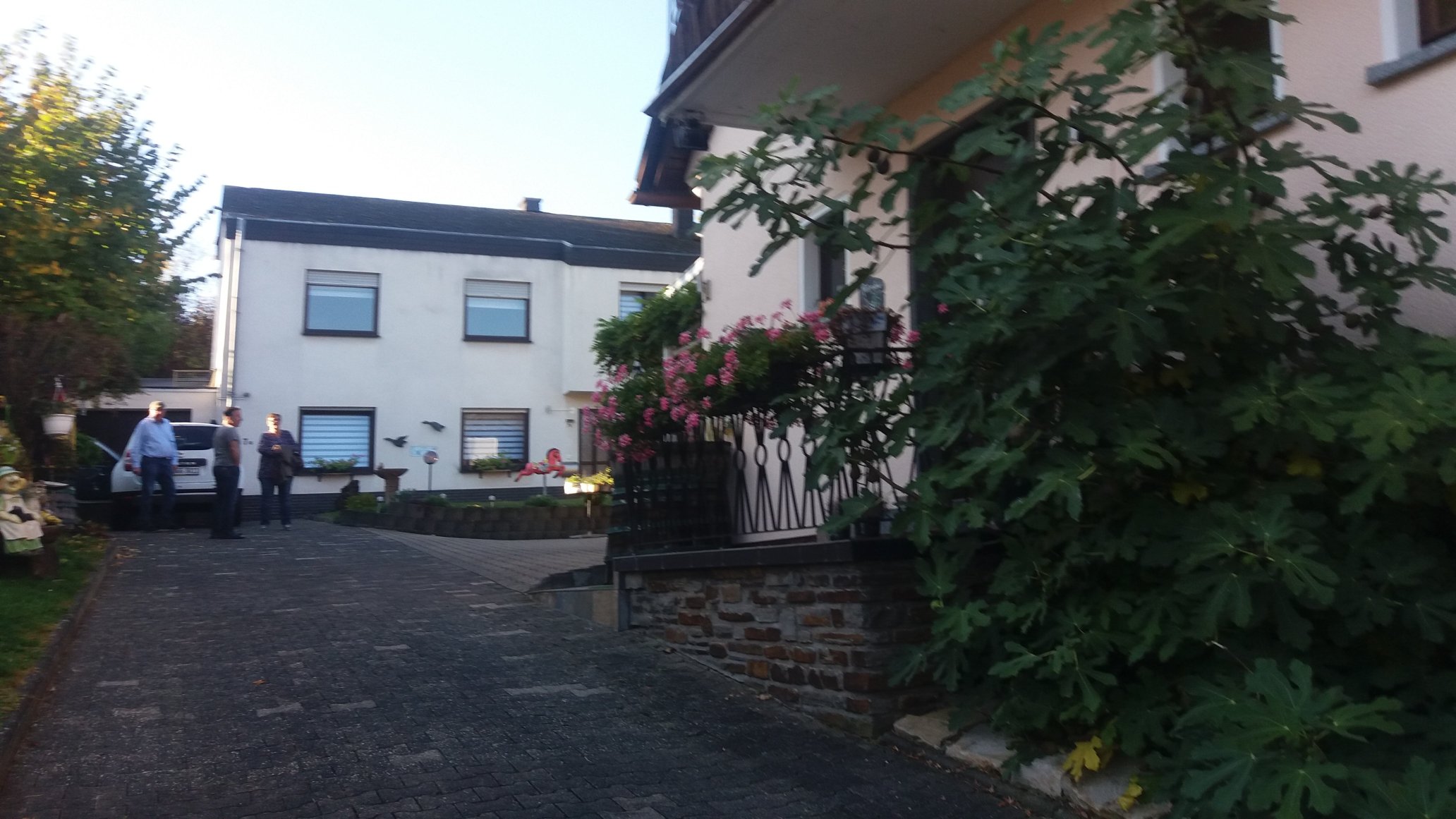 Ferien-Weingut Rockenbach-官方