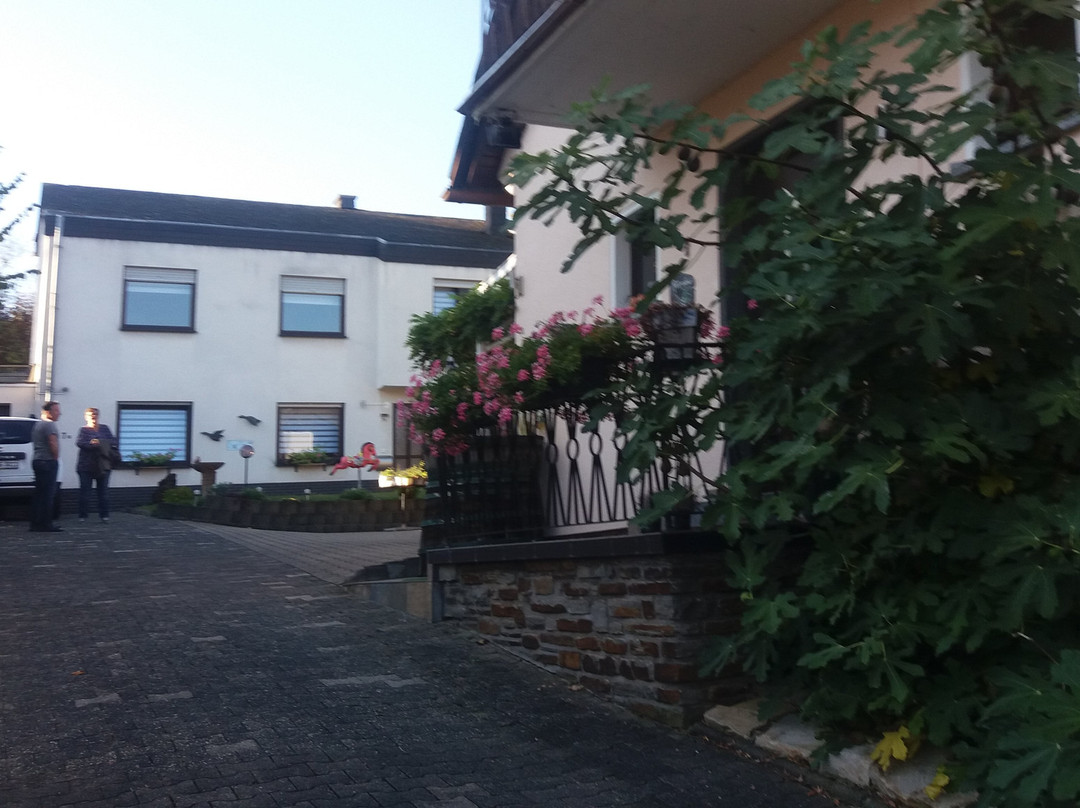 Briedel酒店住宿-Ferien-Weingut Rockenbach