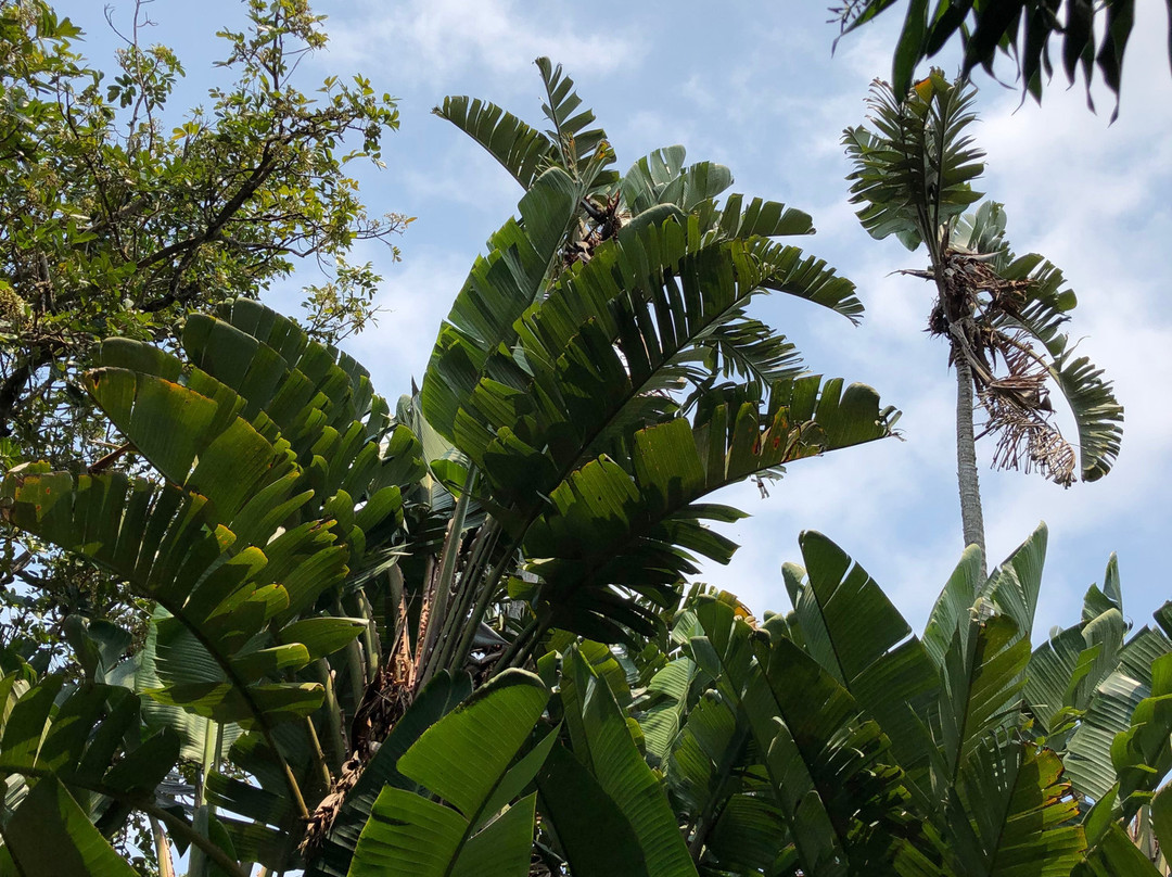 Kwalucia Private Safari Retreat主图