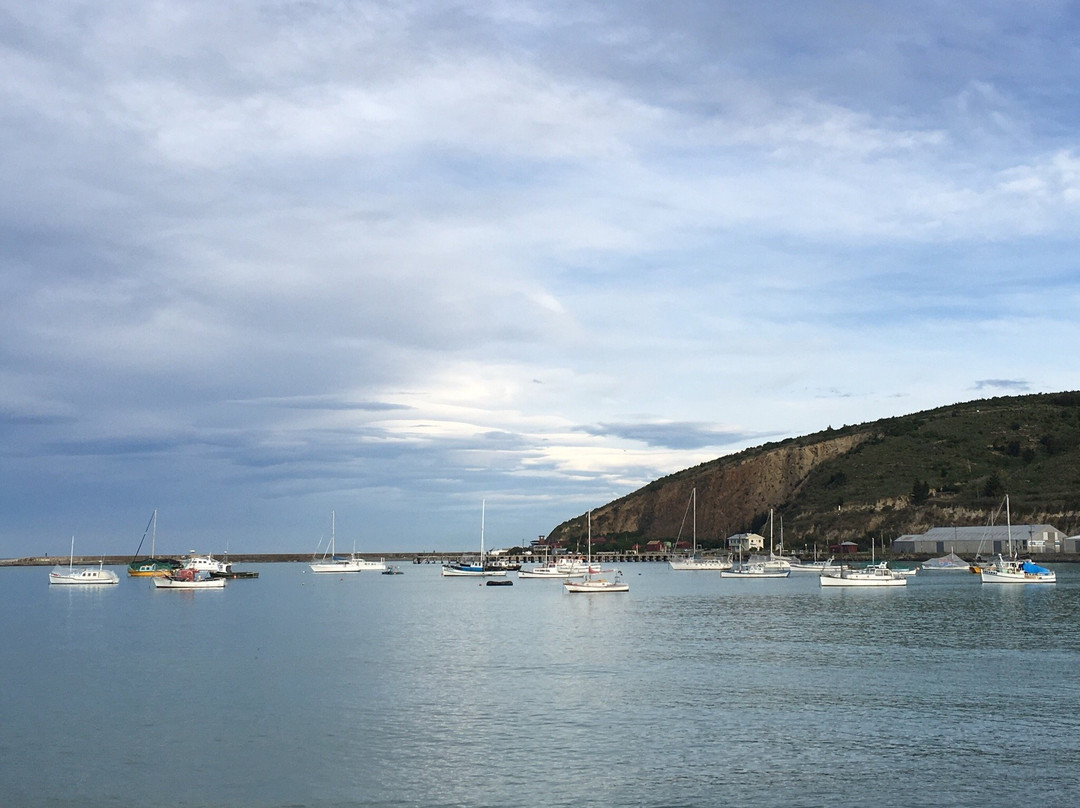 Oamaru Harbour-奥马鲁必去景点