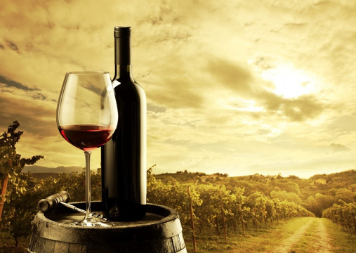 CP Tours and Charters-阿德莱德必去景点