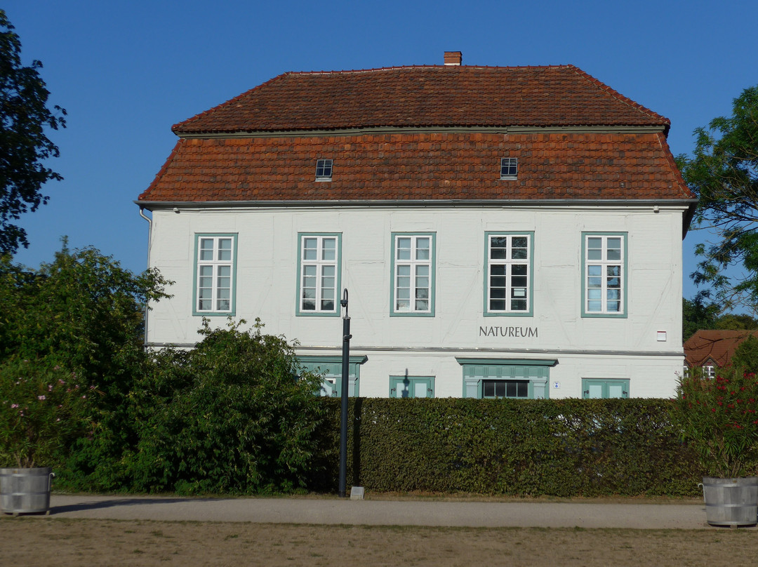 Natureum - Das erste Naturmuseum Mecklenburgs景点图片